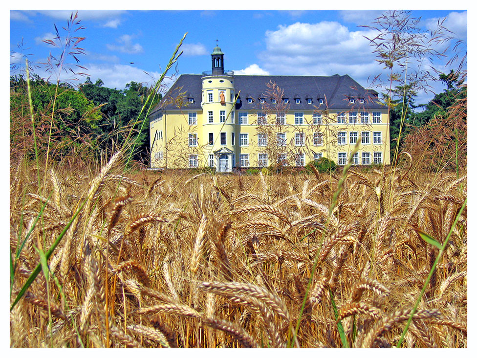 St.Paul im Kornfeld