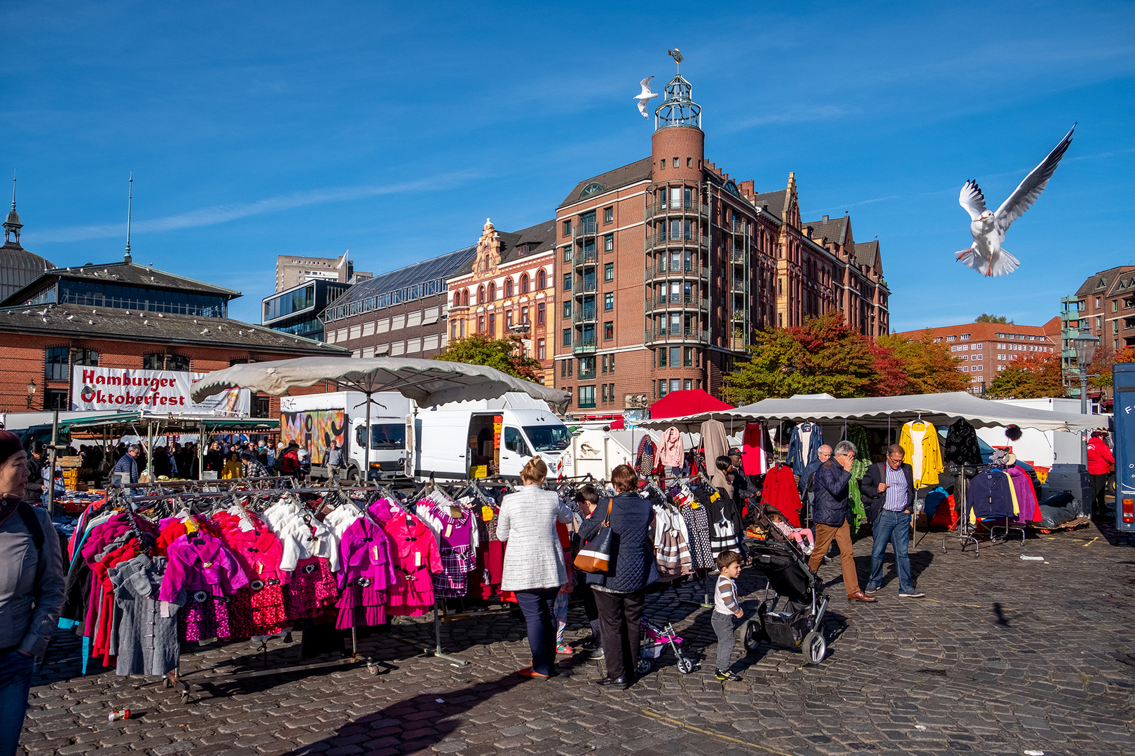 St.Pauli - Fischmarkt Möve im Anflug