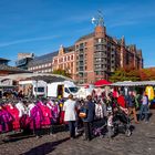 St.Pauli - Fischmarkt Möve im Anflug