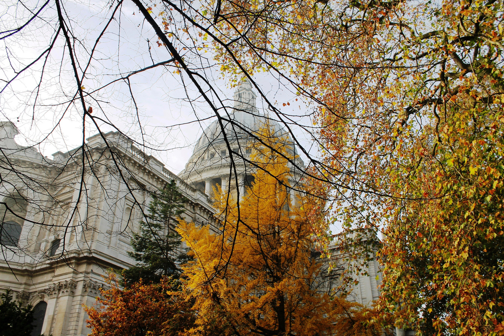 St.Paul's Cathedral