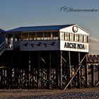 St.Peter-Ording, Arche Noah