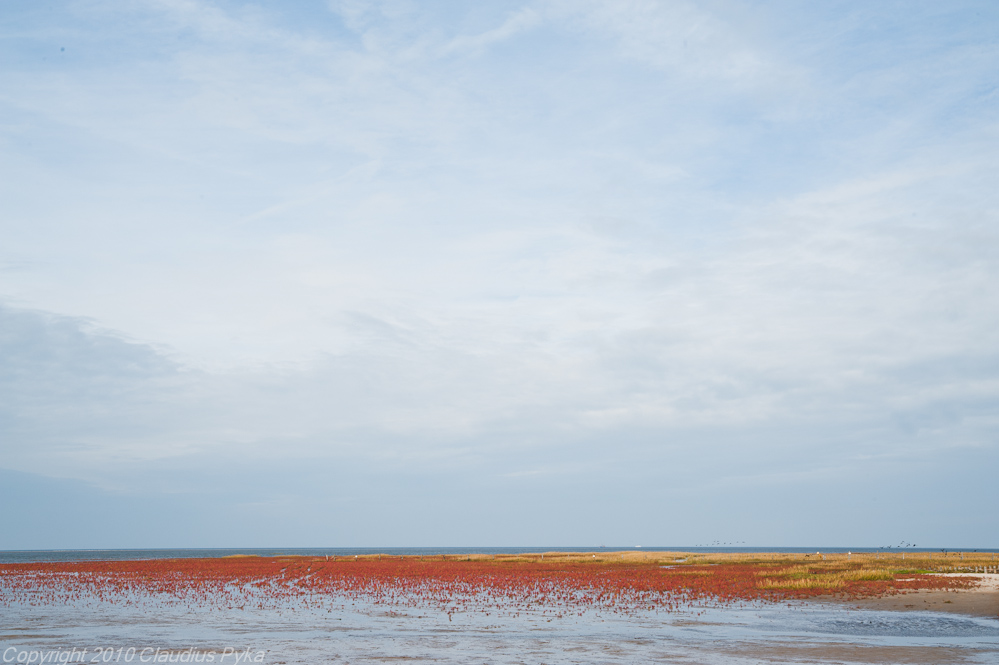 St.Peter-Ording in rot-blau