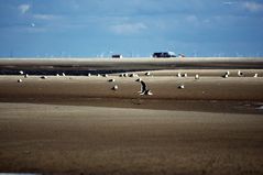 St.Peter-Ording (Juni 2012)