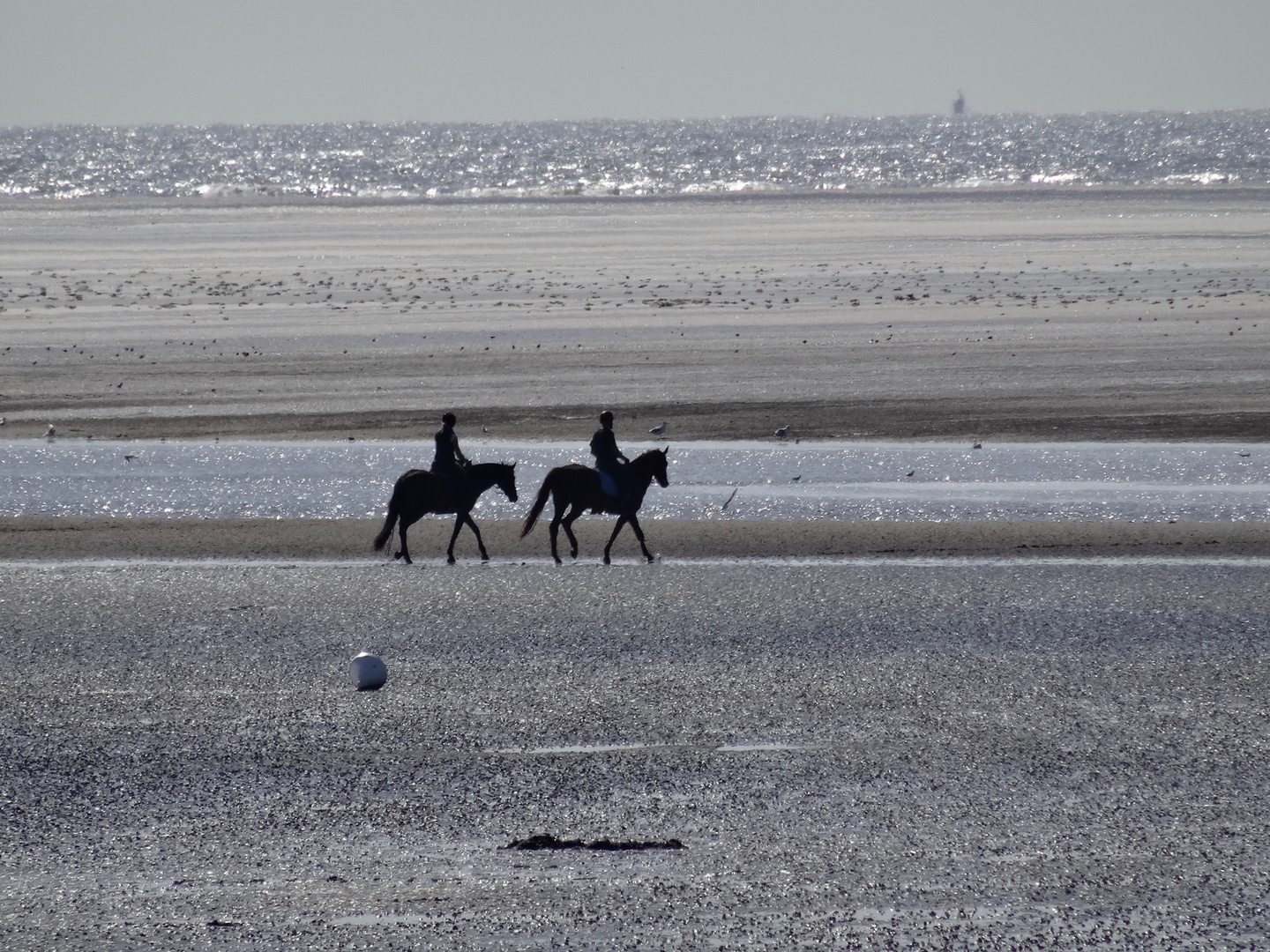 St.Peter Ording, Reiter an der Nordsee