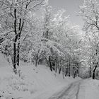 STRADA BIANCA