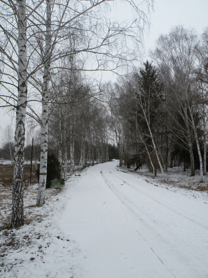 Strada con neve