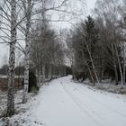 Strada con neve