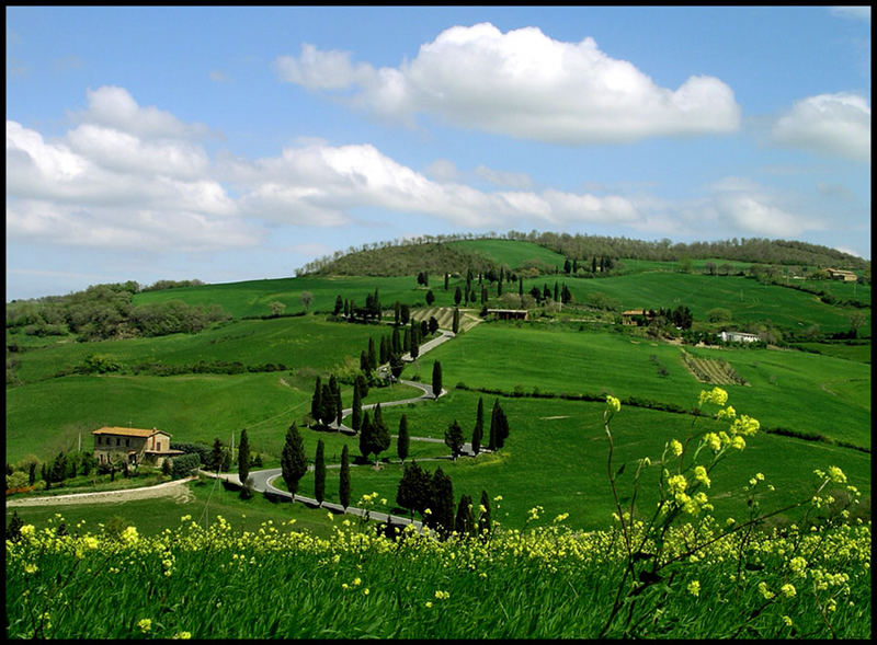 Strada curvosa con le cipresse