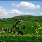 Strada curvosa con le cipresse