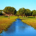 ...strada d'acqua....