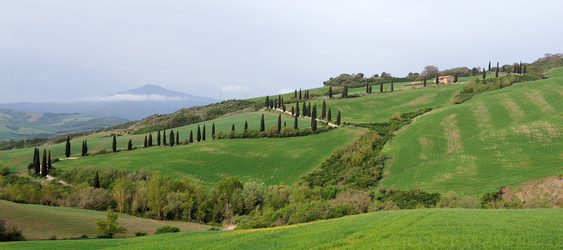 *strada de la foce II*