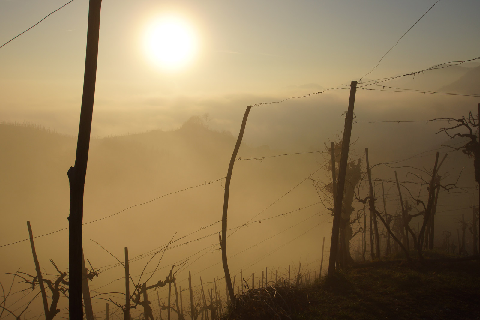 strada del prosecco