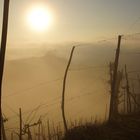 strada del prosecco