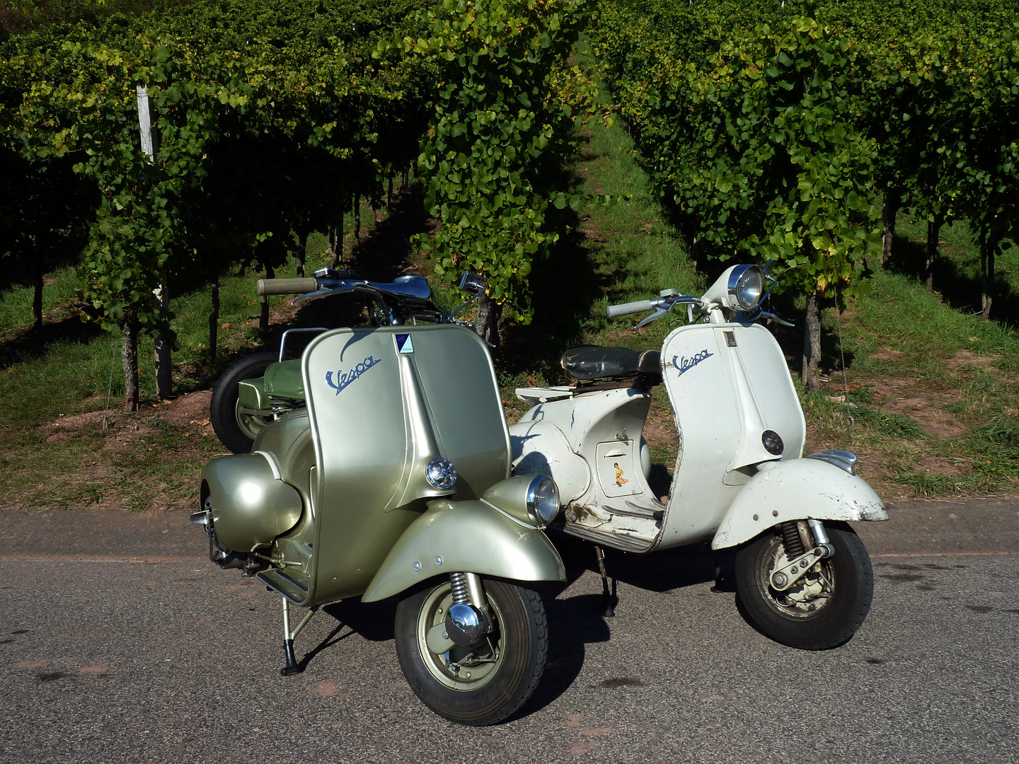 strada del vino