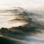 Strada del Vino nella nebbia