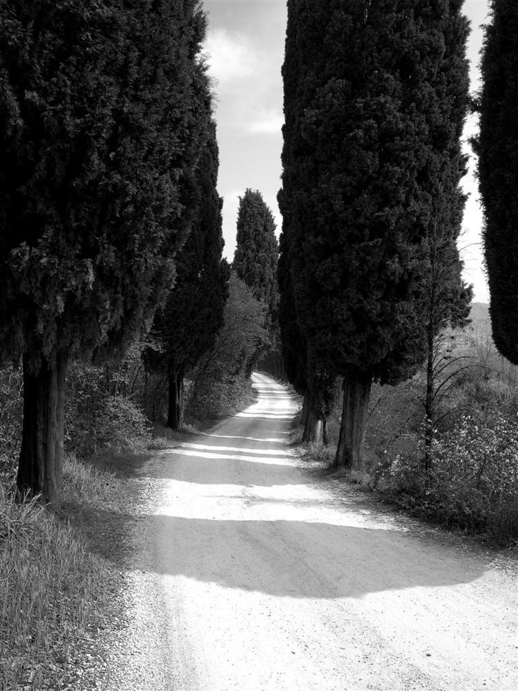 Strada dell'Eremo auf dem La rocca in Garda