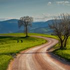 strada di campagna