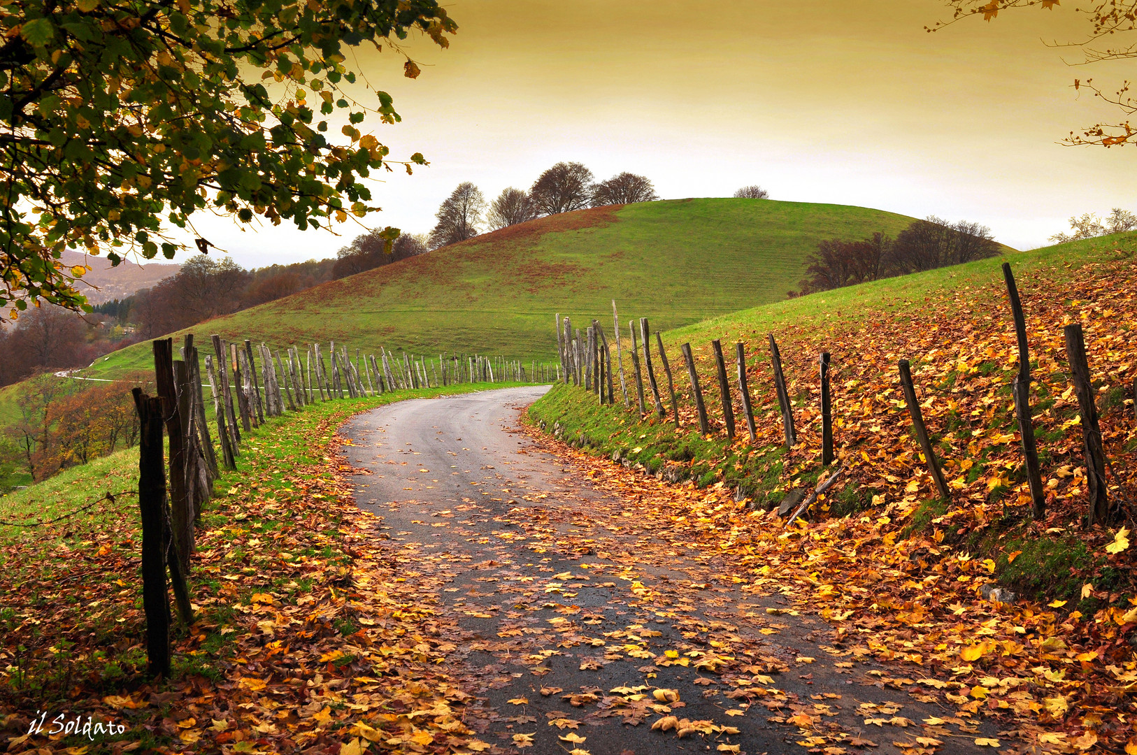 Strada di campagna