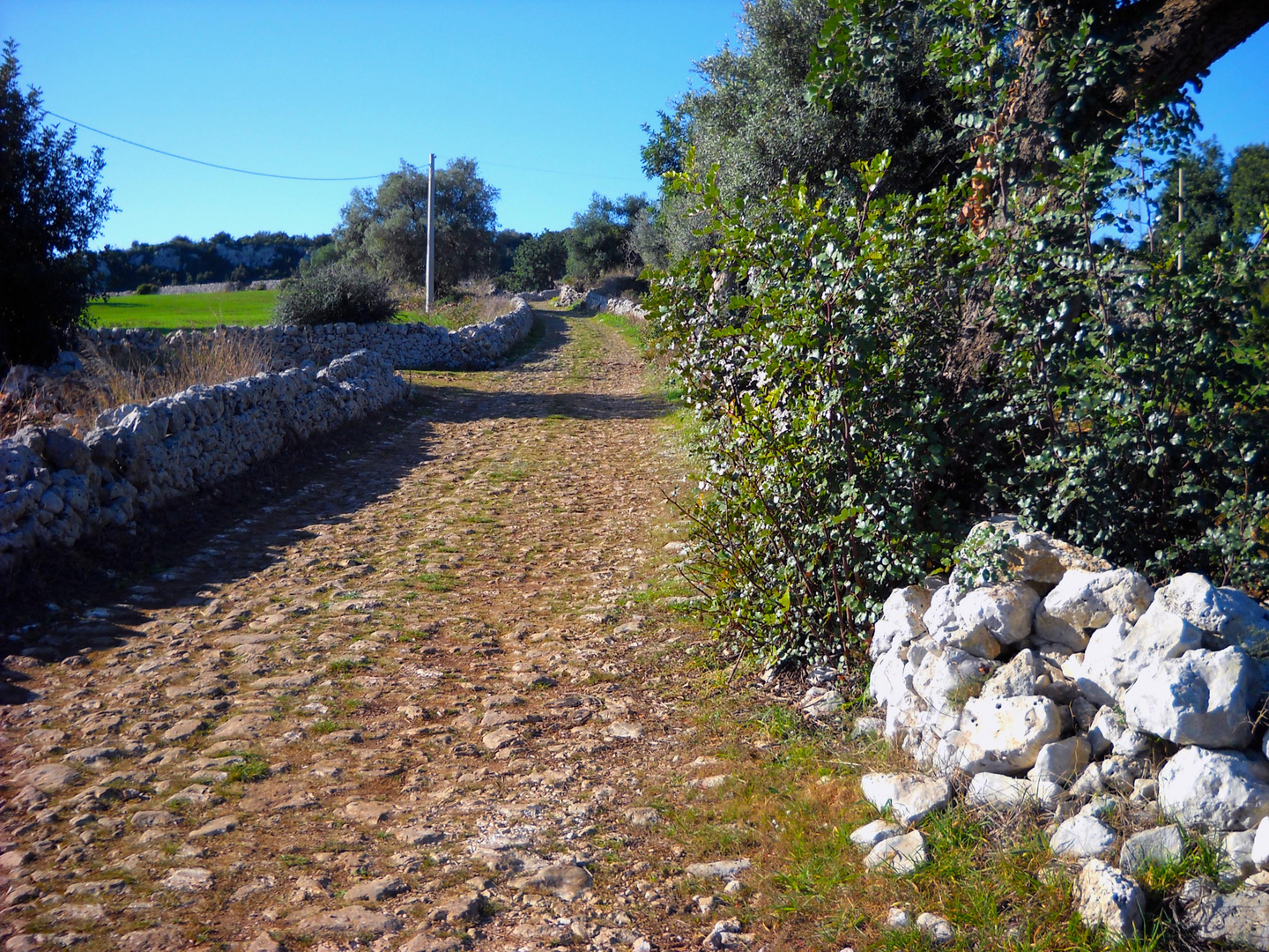 Strada di campagna