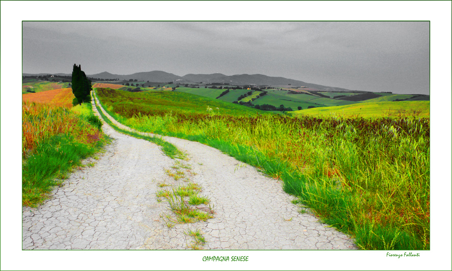 Strada di campagna...