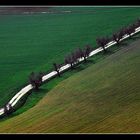 strada di campagna