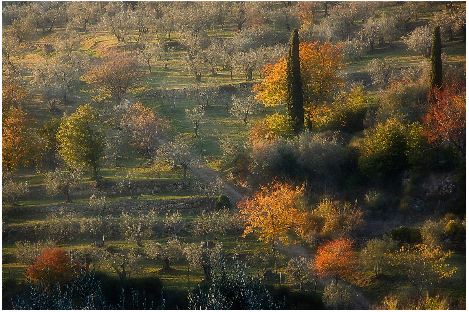 Strada di campagna Foto Immagini paesaggi, campagna, autunno Foto su