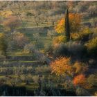 Strada di campagna