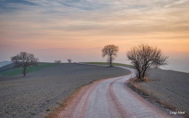 strada di campagna - San Severino Marche (MC)