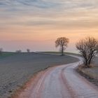 strada di campagna - San Severino Marche (MC)