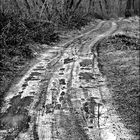 Strada di pozzanghere