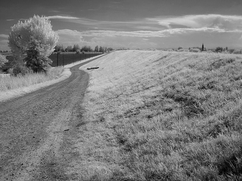 strada dimenticata