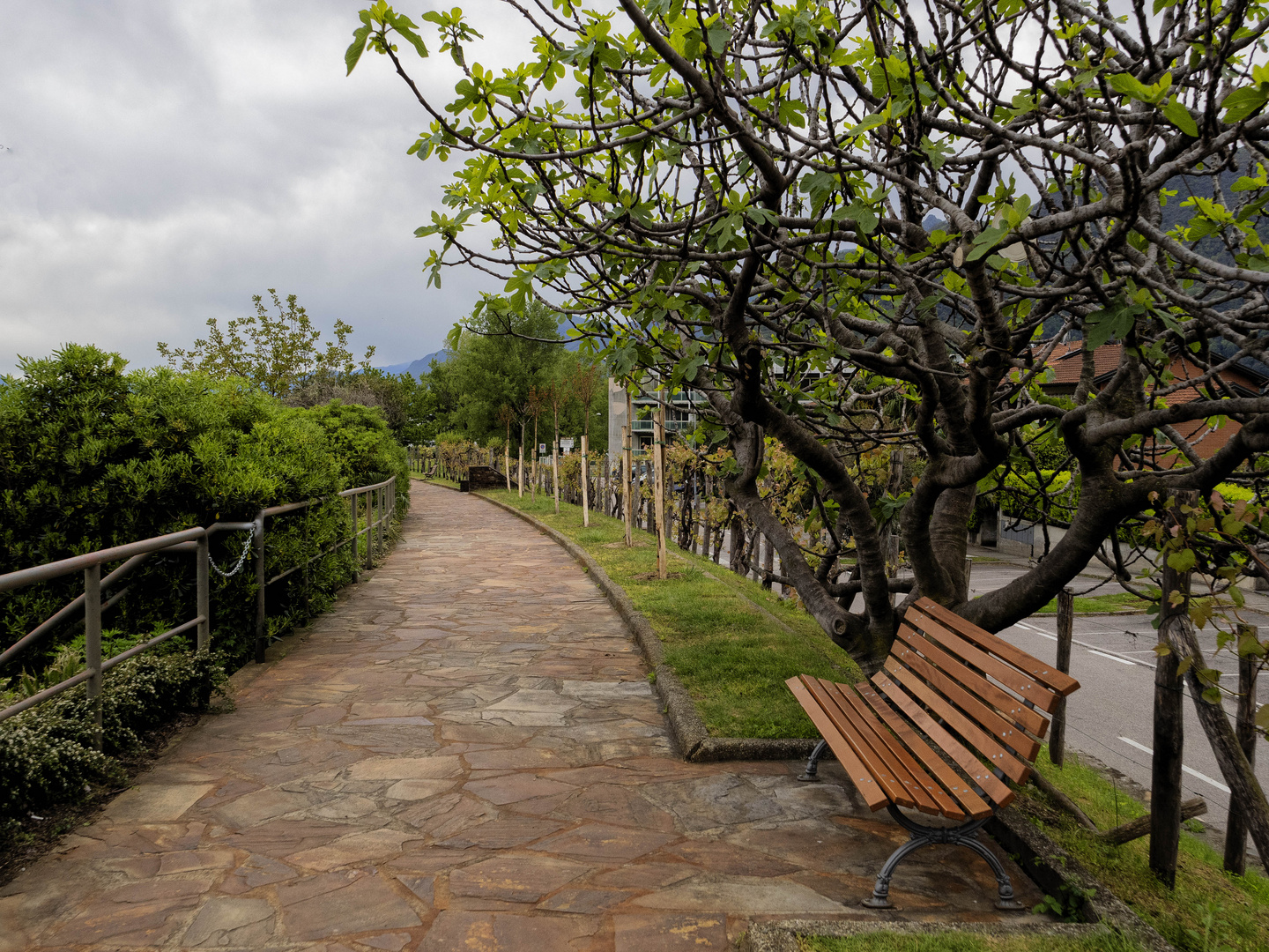 Strada lungo fiume, Maccagno