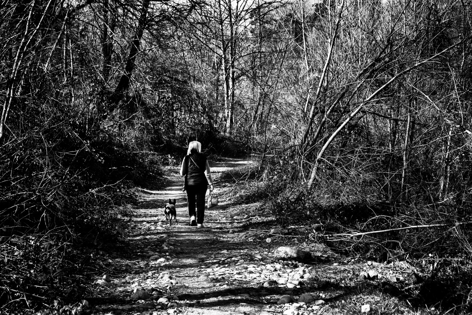 Strada lungo il fiume