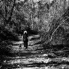 Strada lungo il fiume