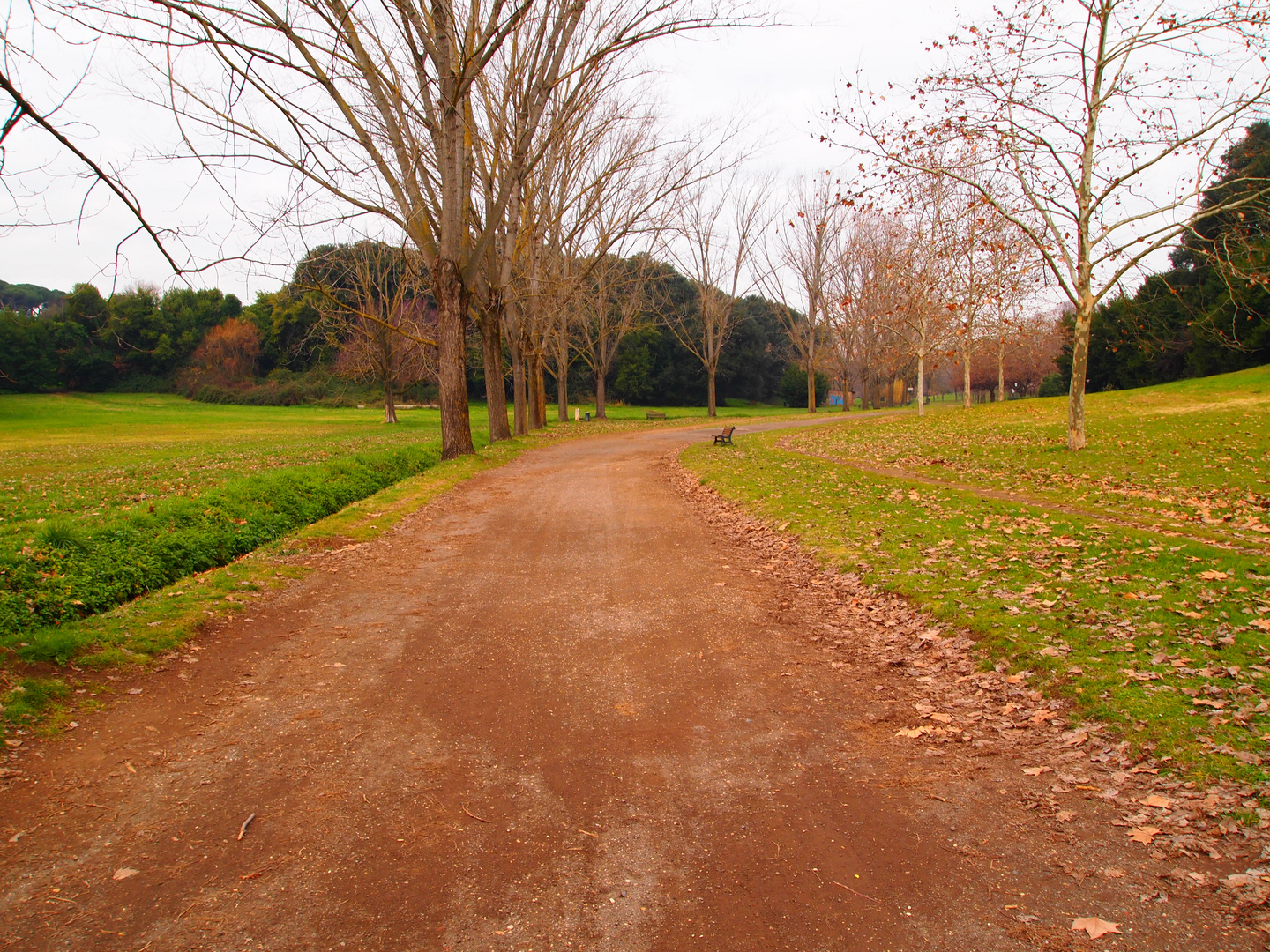 ...strada nel parco