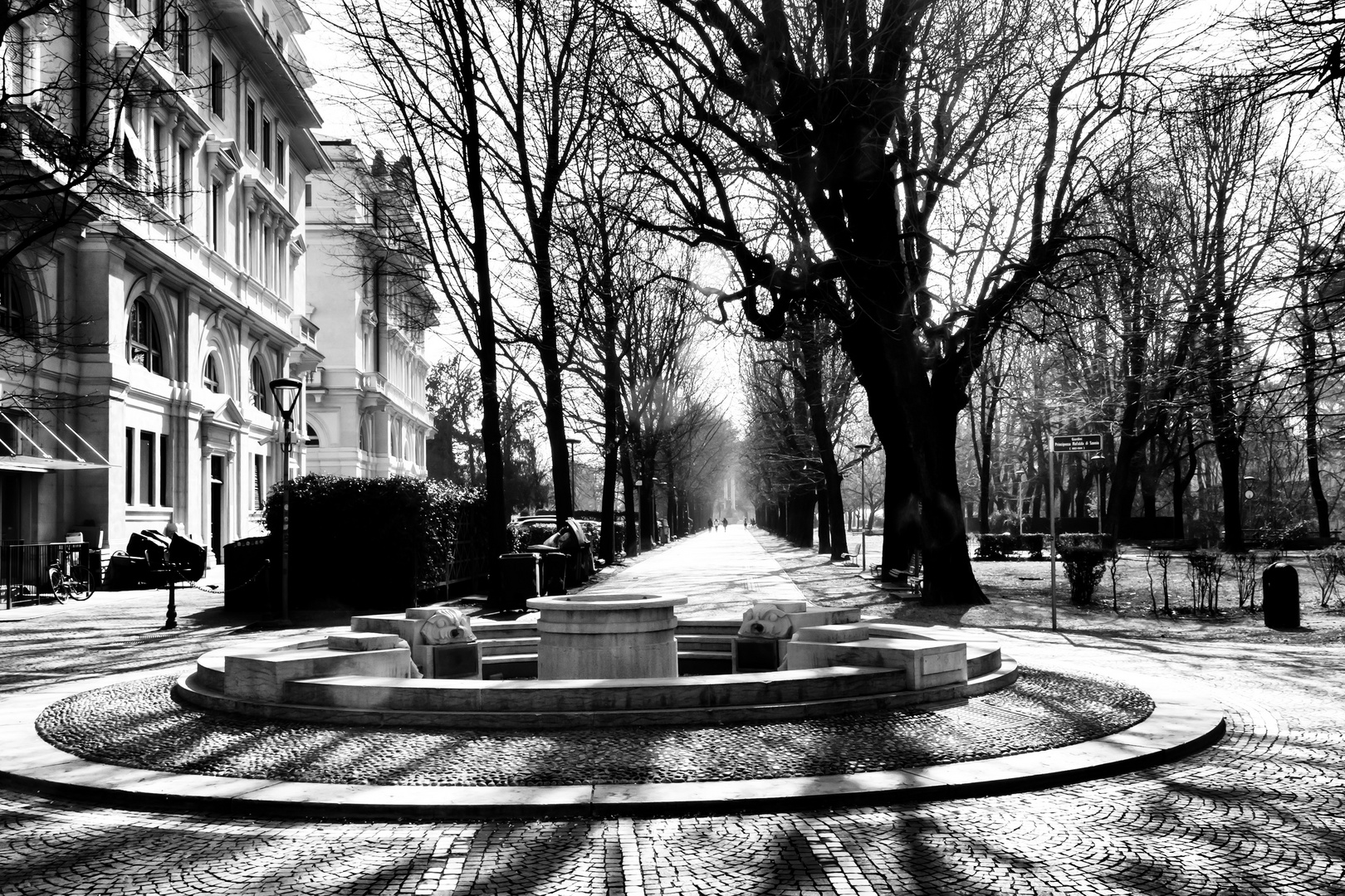 Strada nel parco, Novara