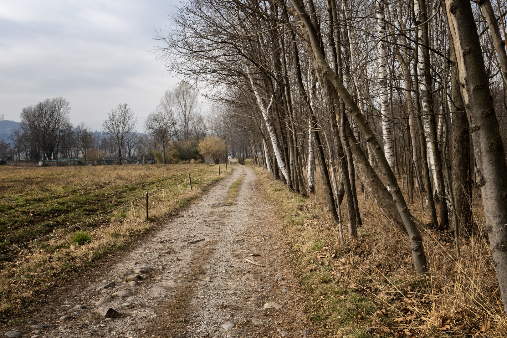 Strada nella campagna di Voltorre