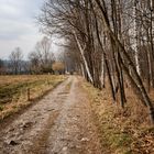 Strada nella campagna di Voltorre