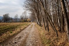 Strada nella campagna di Voltorre