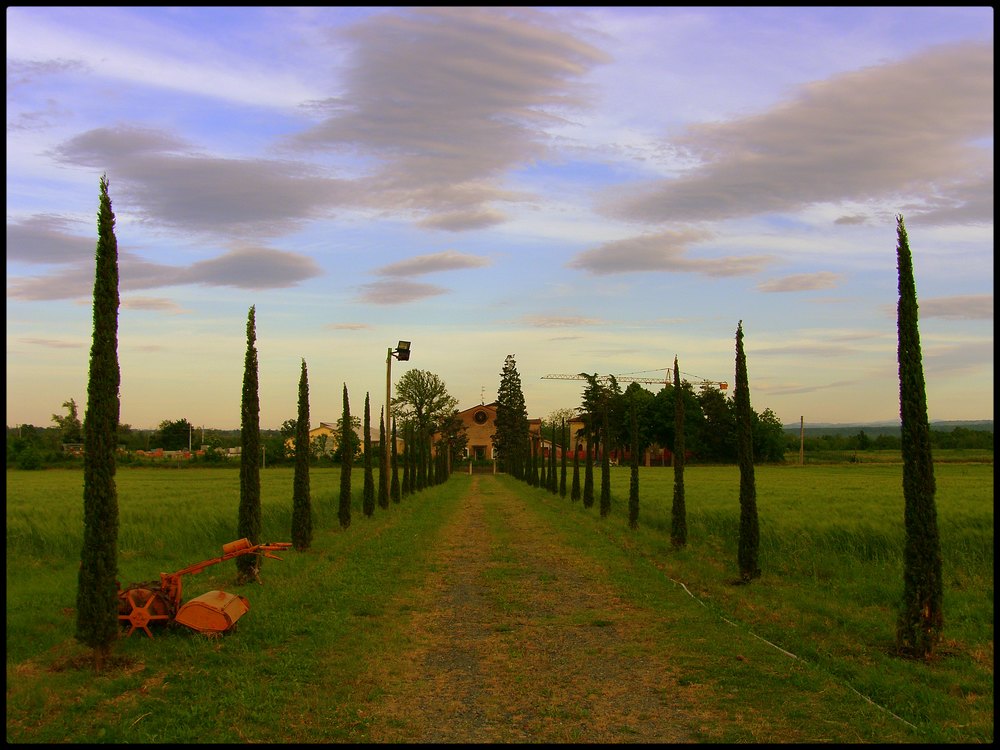 Strada nella campagna - green way.