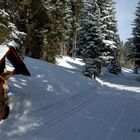 Strada per le Tre Fontane - Trafoi (Bz)