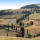 Strada per Monticchiello , Pienza