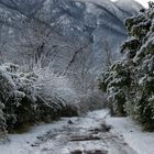 Strada verso il lago