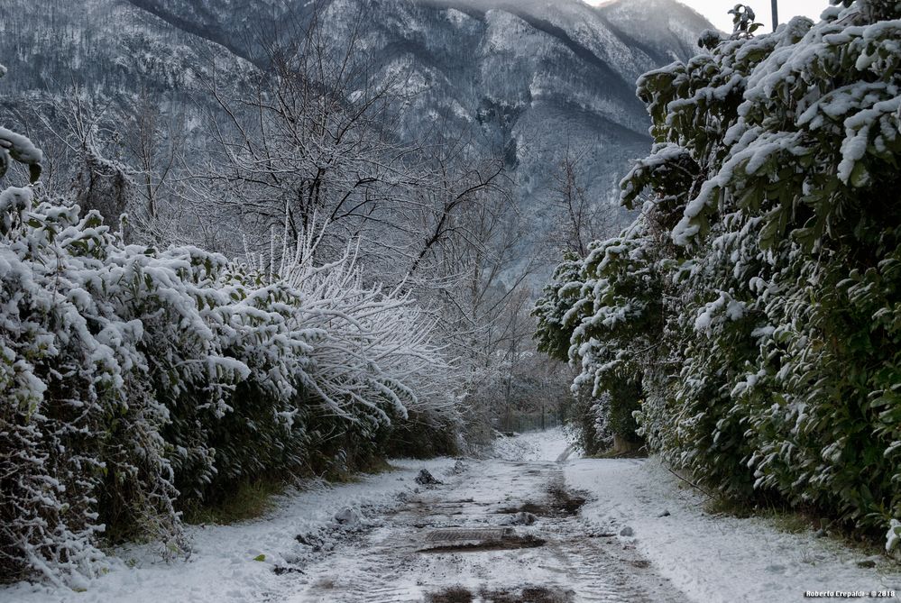 Strada verso il lago