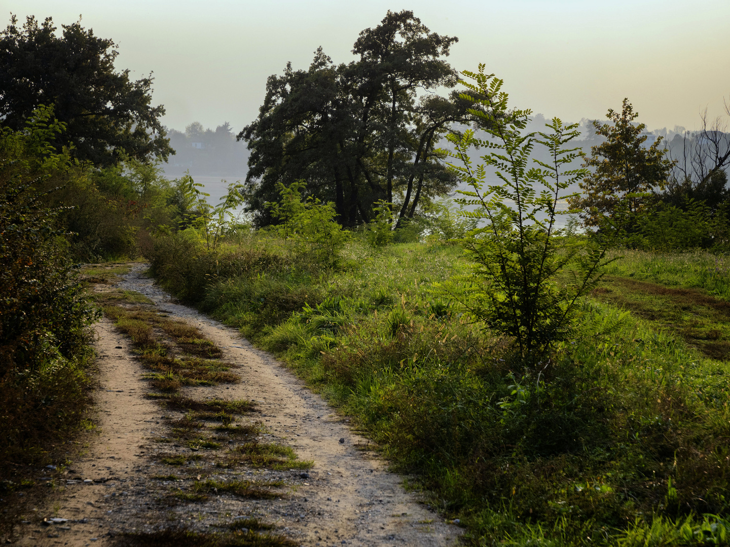 Strada verso il lago