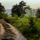 Strada verso il lago