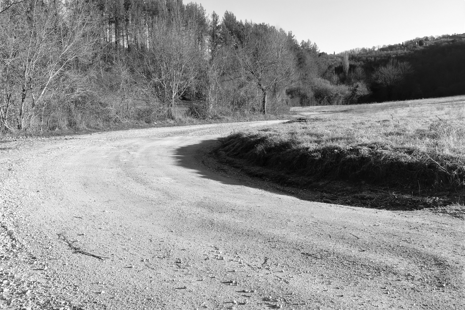 Strade bianche