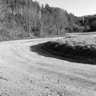 Strade bianche