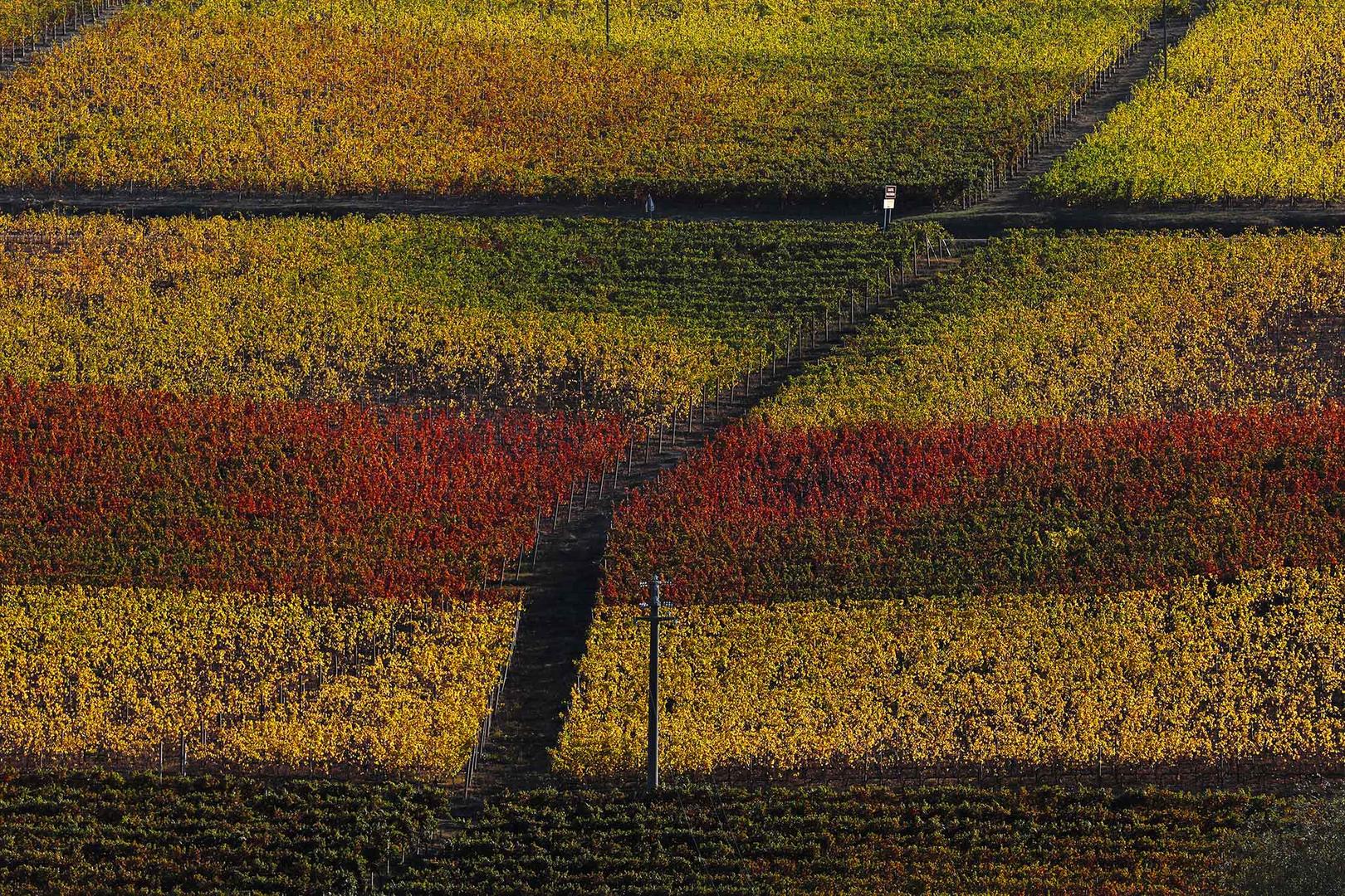 strade del Monferrato