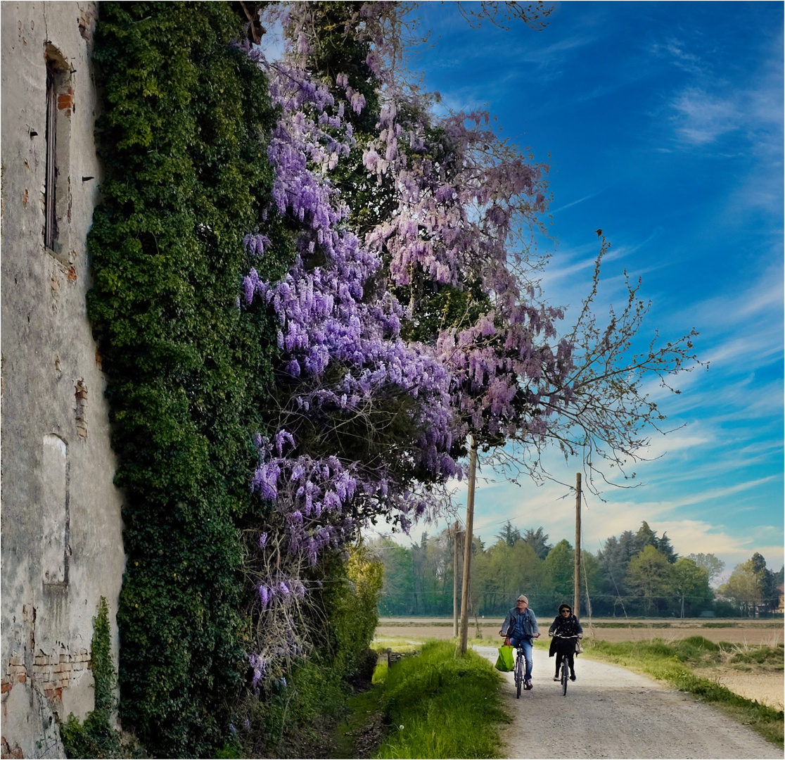 Strade di campagna.